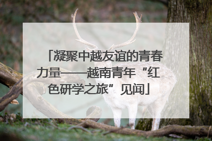 凝聚中越友谊的青春力量——越南青年“红色研学之旅”见闻