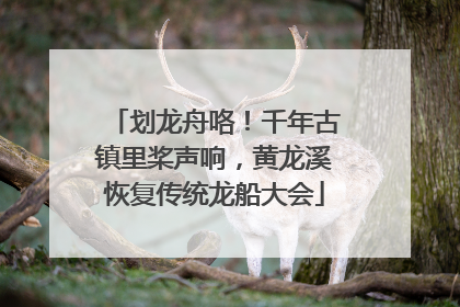 划龙舟咯！千年古镇里桨声响，黄龙溪恢复传统龙船大会