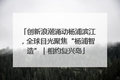 创新浪潮涌动杨浦滨江，全球目光聚焦“杨浦智造”｜相约复兴岛