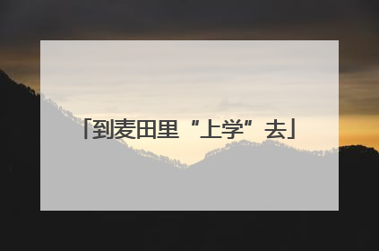 到麦田里“上学”去