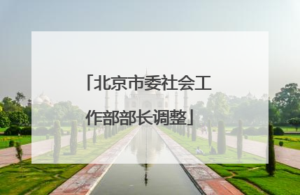 北京市委社会工作部部长调整