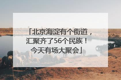 北京海淀有个街道，汇聚齐了56个民族！今天有场大聚会