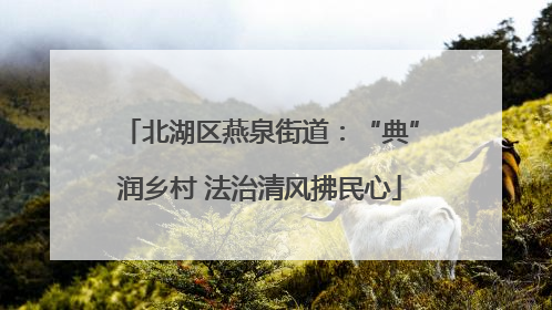 北湖区燕泉街道：“典”润乡村 法治清风拂民心
