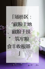 埇桥区：“藏粮于地、藏粮于技” 筑牢粮食丰收根基