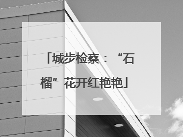 城步检察：“石榴”花开红艳艳