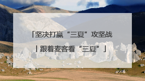坚决打赢“三夏”攻坚战丨跟着麦客看“三夏”