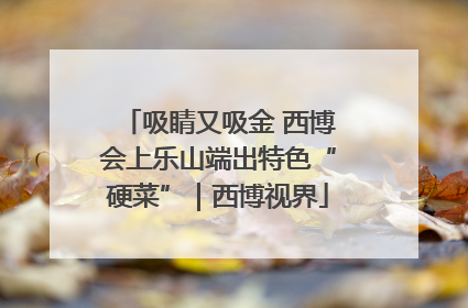 吸睛又吸金 西博会上乐山端出特色“硬菜”｜西博视界