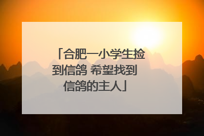 合肥一小学生捡到信鸽 希望找到信鸽的主人