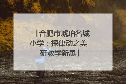 合肥市琥珀名城小学：探律动之美 研教学新思