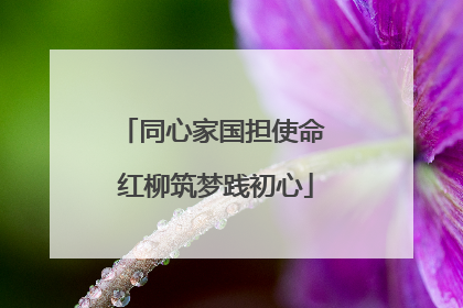 同心家国担使命 红柳筑梦践初心