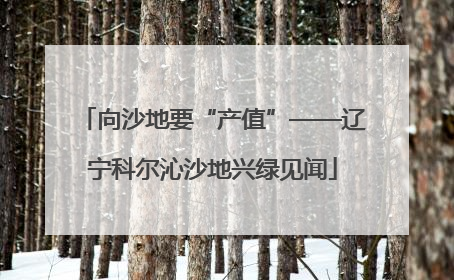 向沙地要“产值”——辽宁科尔沁沙地兴绿见闻