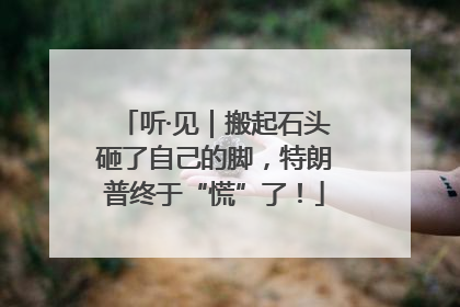 听·见｜搬起石头砸了自己的脚，特朗普终于“慌”了！