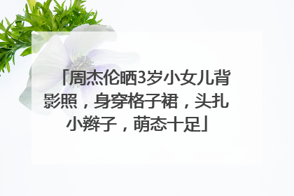 周杰伦晒3岁小女儿背影照，身穿格子裙，头扎小辫子，萌态十足