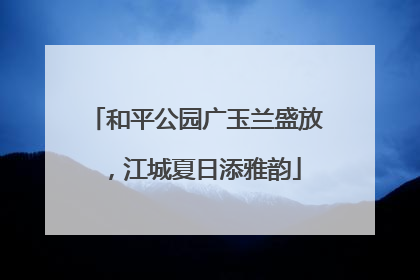 和平公园广玉兰盛放，江城夏日添雅韵