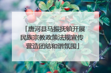 唐河县马振抚镇开展民族宗教政策法规宣传 营造团结和谐氛围