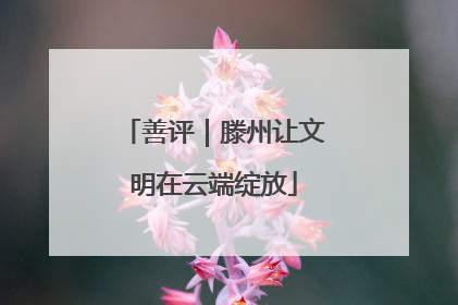 善评｜滕州让文明在云端绽放