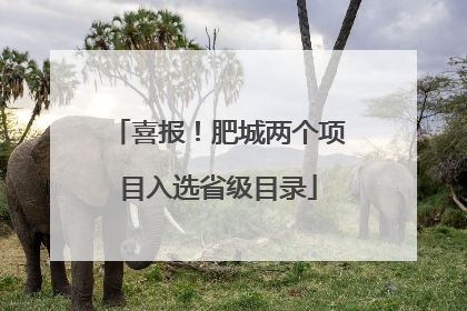 喜报！肥城两个项目入选省级目录
