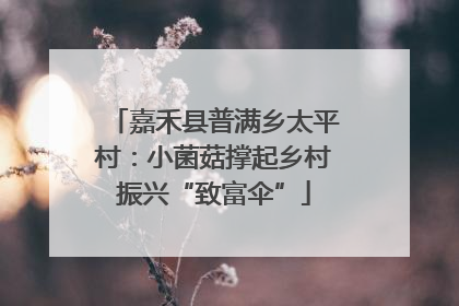 嘉禾县普满乡太平村：小菌菇撑起乡村振兴“致富伞”