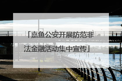 嘉鱼公安开展防范非法金融活动集中宣传