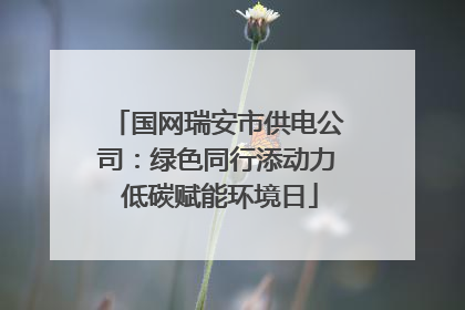 国网瑞安市供电公司：绿色同行添动力 低碳赋能环境日