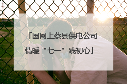 国网上蔡县供电公司情暖“七一”践初心