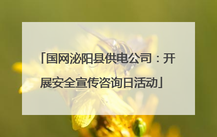 国网泌阳县供电公司：开展安全宣传咨询日活动