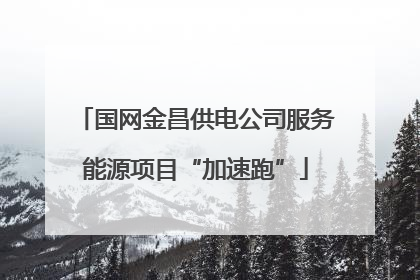 国网金昌供电公司服务能源项目“加速跑”