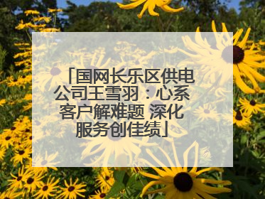 国网长乐区供电公司王雪羽：心系客户解难题 深化服务创佳绩