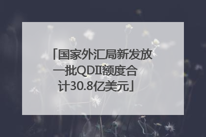 国家外汇局新发放一批QDII额度合计30.8亿美元