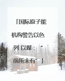 国际原子能机构警告以色列 以媒：“前所未有”