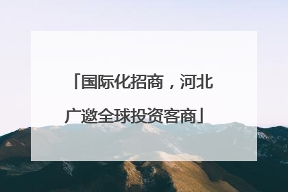 国际化招商，河北广邀全球投资客商