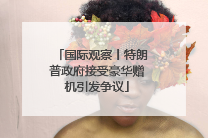 国际观察丨特朗普政府接受豪华赠机引发争议