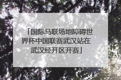 国际马联场地障碍世界杯中国联赛武汉站在武汉经开区开赛