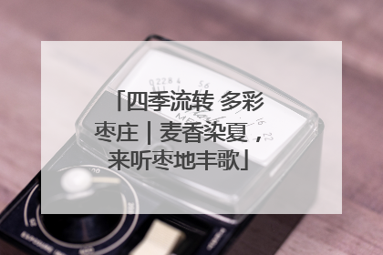 四季流转 多彩枣庄｜麦香染夏，来听枣地丰歌