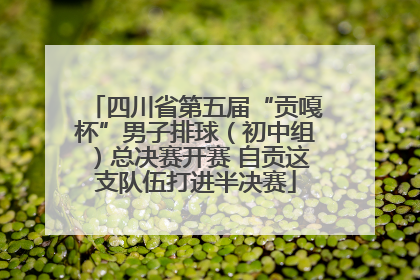 四川省第五届“贡嘎杯”男子排球（初中组）总决赛开赛 自贡这支队伍打进半决赛