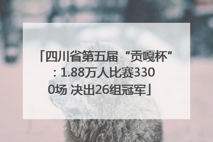 四川省第五届“贡嘎杯”：1.88万人比赛3300场 决出26组冠军