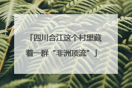 四川合江这个村里藏着一群“非洲顶流”