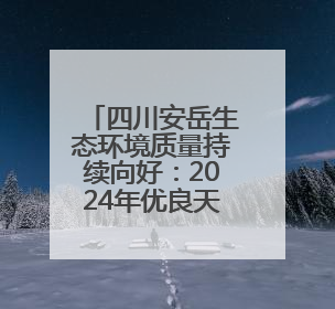 四川安岳生态环境质量持续向好：2024年优良天数324天，多项数据实现100%