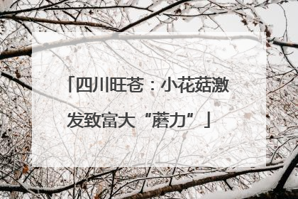 四川旺苍：小花菇激发致富大“蘑力”