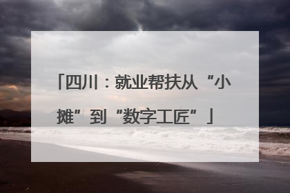 四川：就业帮扶从“小摊”到“数字工匠”