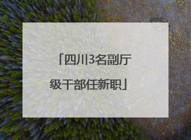 四川3名副厅级干部任新职