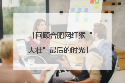 回顾合肥网红猴“大壮”最后的时光