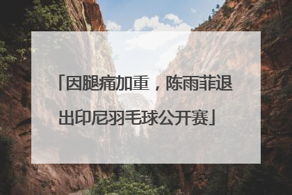 因腿痛加重，陈雨菲退出印尼羽毛球公开赛