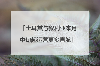 土耳其与叙利亚本月中旬起运营更多直航