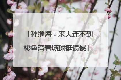 孙继海：来大连不到梭鱼湾看场球挺遗憾