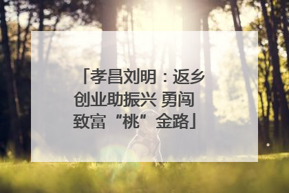 孝昌刘明：返乡创业助振兴 勇闯致富“桃”金路