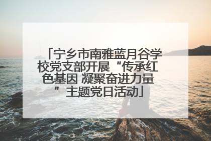 宁乡市南雅蓝月谷学校党支部开展“传承红色基因 凝聚奋进力量”主题党日活动