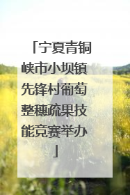 宁夏青铜峡市小坝镇先锋村葡萄整穗疏果技能竞赛举办