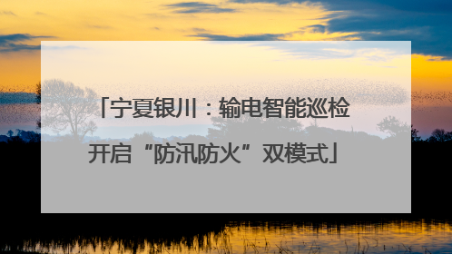 宁夏银川：输电智能巡检开启“防汛防火”双模式