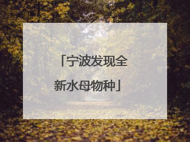 宁波发现全新水母物种